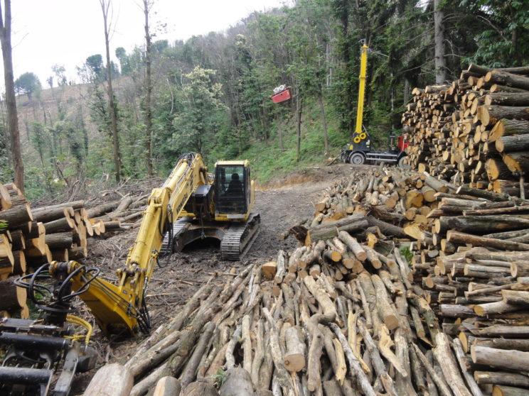 Escavatore e gru forestale al lavoro accanto a cataste di tronchi
